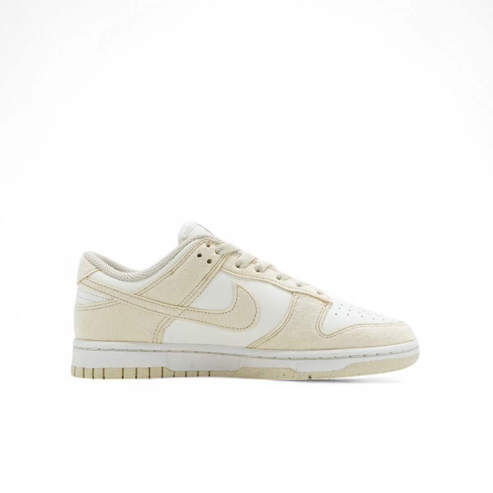 ナイキ ウィメンズ ダンク ロー NIKE WMNS DUNK LOW   HJ7673-004